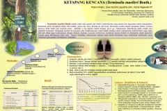 Poster_Dr_KHAIRUL_ANAM_S_Si__M_Si.pdf