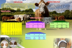 Poster_Dr__Ir_BAGINDA_ISKANDAR_MOEDA_TAMPOEBOLON_M_Si.pdf
